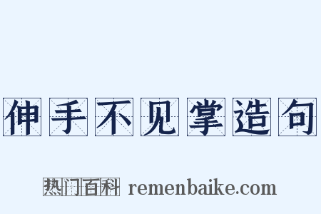 伸手不见掌造句是什么意思的图片